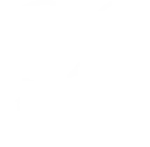 Financial assistance, project management and implementation support
